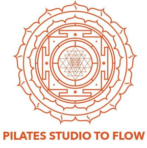 Studio Partner